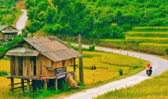 SAPA TREKKING 3 DAYS 2 NIGHT ( 1 Night Hotel, 1 Night Homestay)
