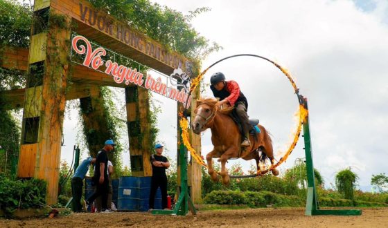 SAPA TOUR 2 DAYS 1 NIGHT (Fansipan + Morning Bus)
